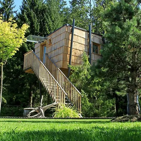 Enchanting Tree House Overlooking Savinja River Near Ljubljana, Slovenia