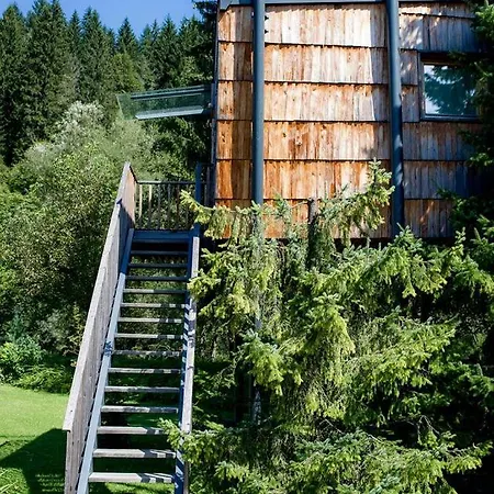 Enchanting Tree House Overlooking Savinja River Near Ljubljana, Slovenia